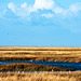Parkgate marshes