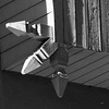 Arrows