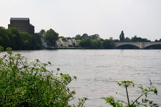 mortlake brewery (2)