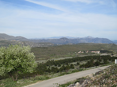 Au nord : plateau de Srd.