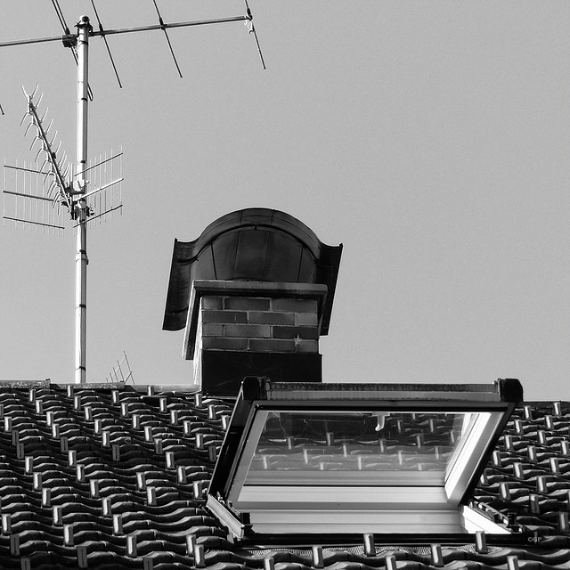 Roofscape