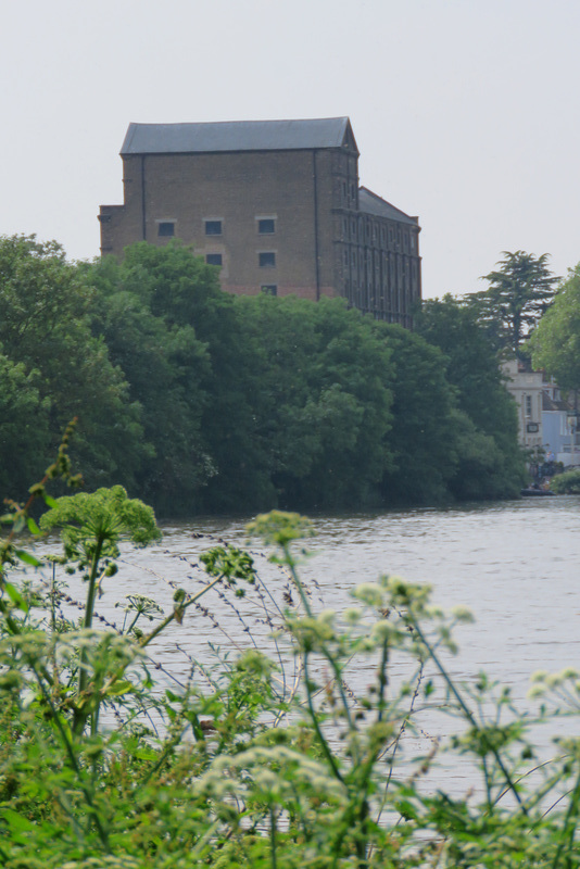 mortlake brewery