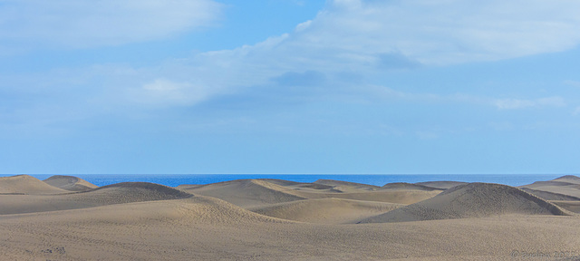 in den Dünen bei Playa del Ingles (© Buelipix)