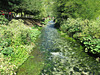 Rapids of Bistricë River.
