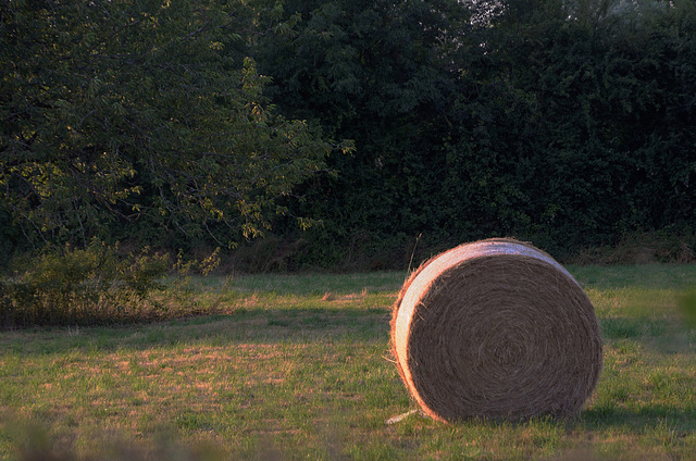 Lune des foins