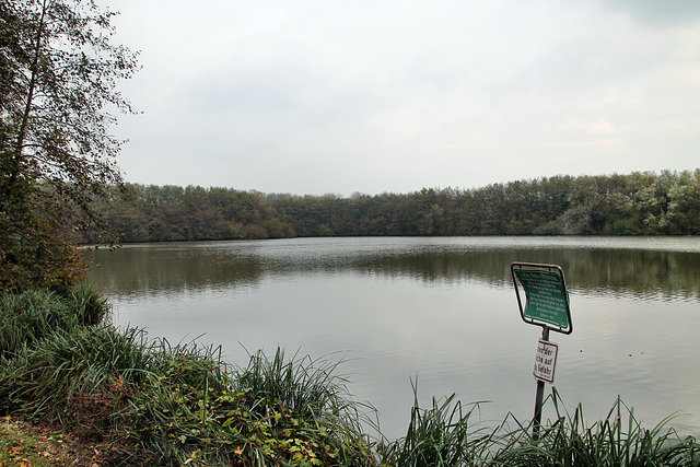 Bergsenkungssee Leveringhäuser Vogelteich (Waltrop) / 2.11.2017