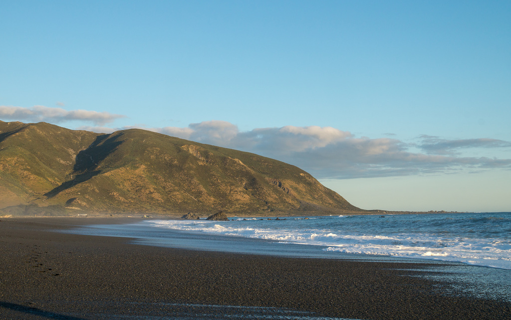 Neuseeland - Wainuiomata Beach