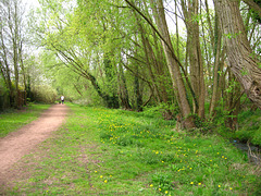Wom Brook Walk