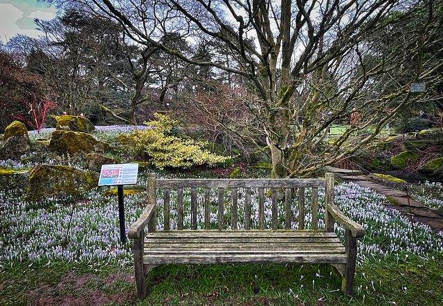 HBM Botanic Gardens Leicester 16th February 2025