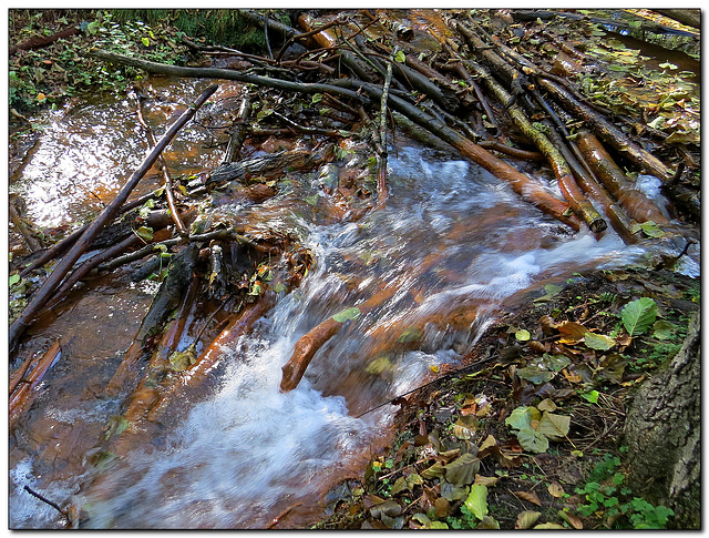 An der Schwindebachquelle