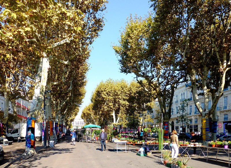 FR - Béziers - Allée Paul-Riquet