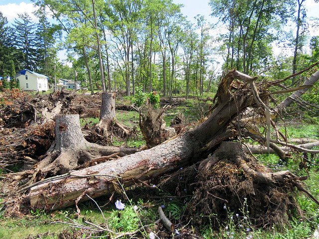 After a tornado.