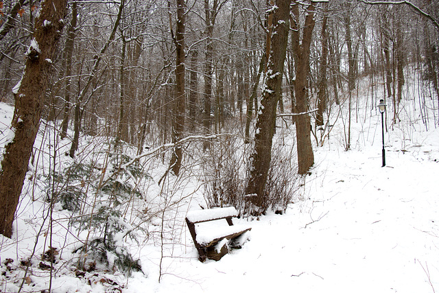 Frosty Bench Monday - HBM