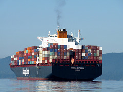 Containership 'Vienna Express'