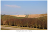 Awaiting the green shoots of spring near Denton - Sussex - 17.3.2016