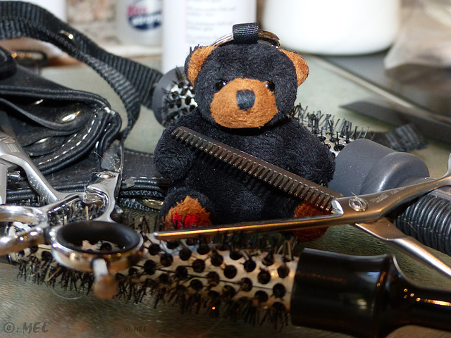 04/50 - Canabear's Friseurbesuch