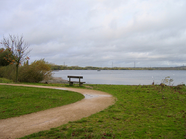 Chasewater looking NW from near the Amusement Park