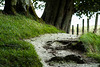 Happy Fence Avebury