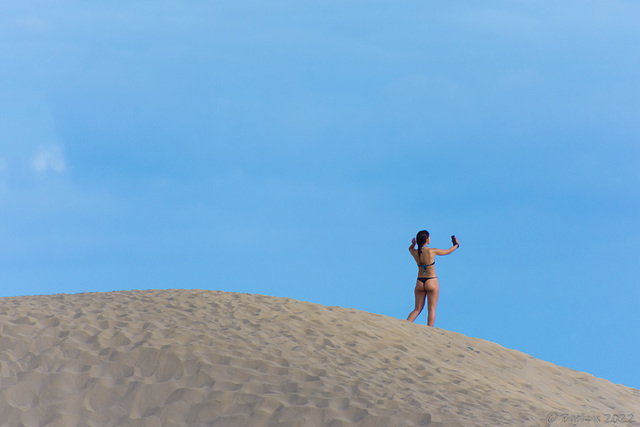 in den Dünen bei Playa del Ingles (© Buelipix)