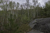 im Lake Laurentian Naturschutzgebiet (© Buelipix)