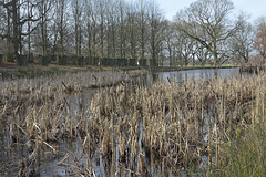 A winter lake