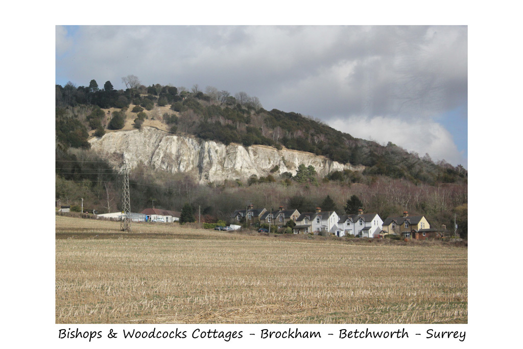 Brockham, Betchworth - from a train - 5.3.2015