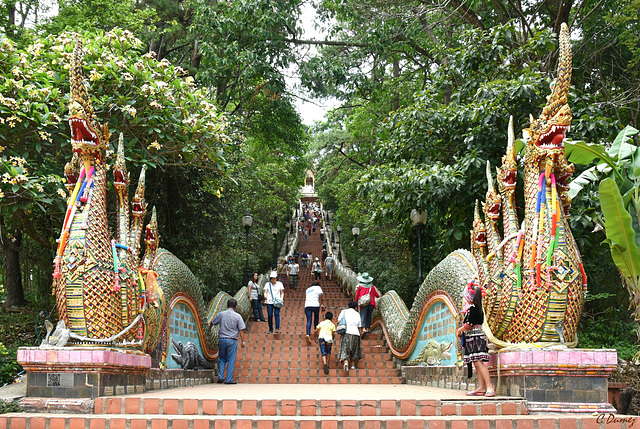 Chiang Maï