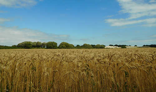 besoin de campagne