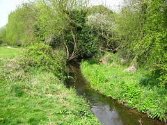 Wom Brook