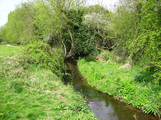 Wom Brook
