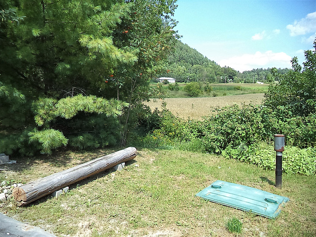 Banc tronc et paysage / Landscape and low trunk bench