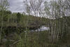 im Lake Laurentian Naturschutzgebiet (© Buelipix)