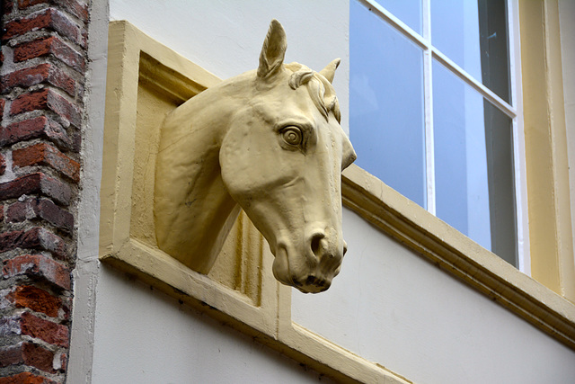 Zwolle 2015 – Horse’s head