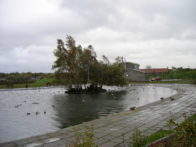 Chasewater on a windy November day in 2005