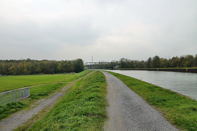 Weg am Dortmund-Ems-Kanal (Waltrop) / 2.11.2017