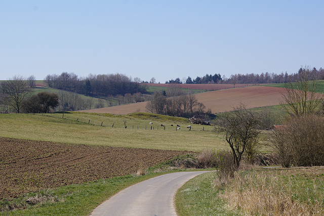 Herrliches Wetter im April II