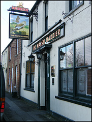 The Marsh Harrier at Oxford