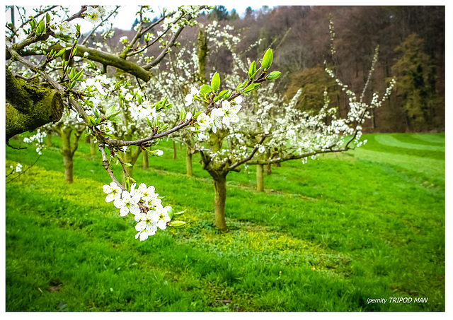 Frühling 23