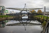 Swan-Canopy Bridge Reflection