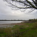 Chasewater looking towards Chasetown