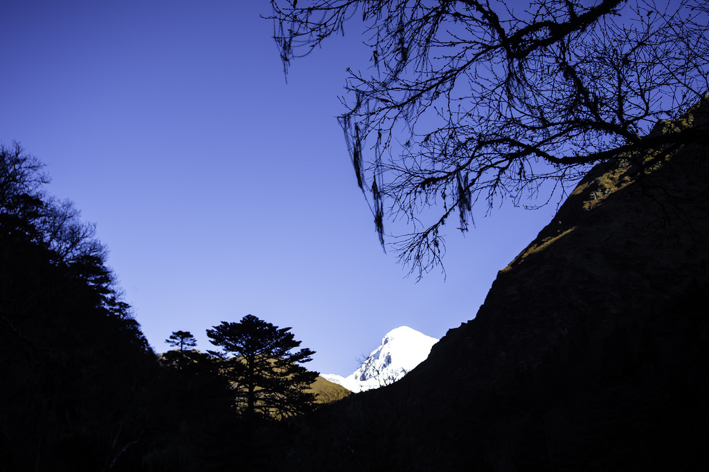 Slowly to the mountain