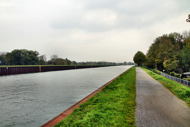 Weg am Dortmund-Ems-Kanal (Waltrop) / 2.11.2017