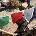 Prayer flags close-up