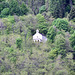 Switzerland 2025 – Chapel