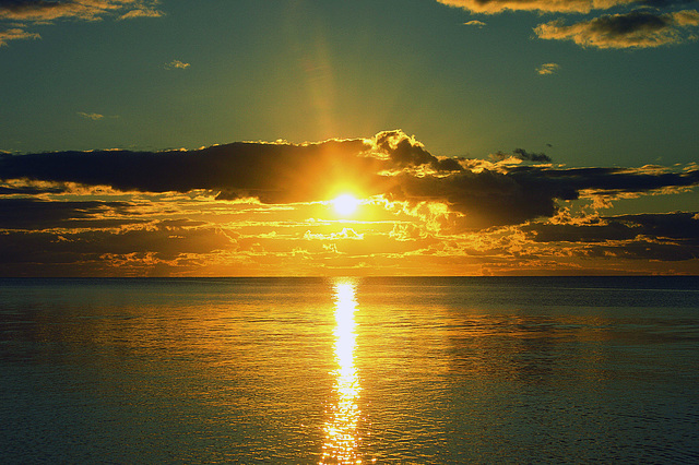 Sunlit