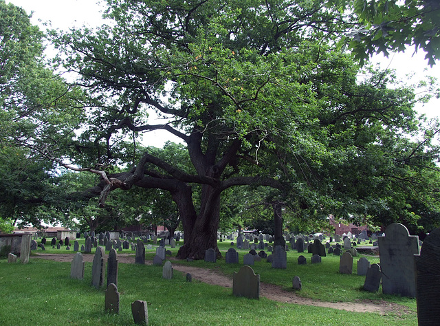 Burying Point in Salem, June 2010
