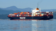 Containership 'Vienna Express'