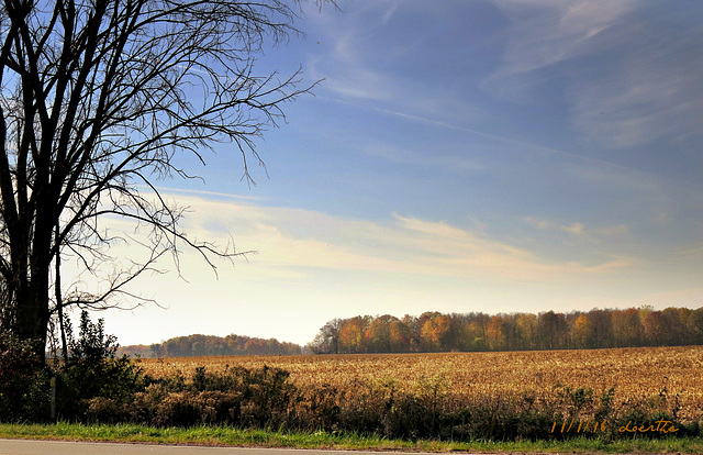 Farmland around our town