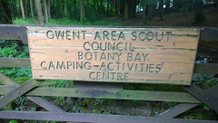 Scout Camp