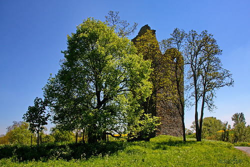 Kirchenruine Nordhusen